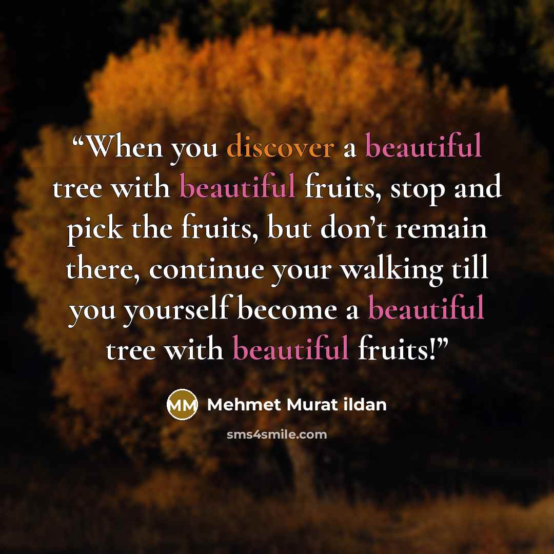 “When you discover a beautiful tree with beautiful fruits, stop and pick the fruits, but don’t remain there, continue your walking till you yourself become a beautiful tree with beautiful fruits!” quote by Mehmet Murat ildan