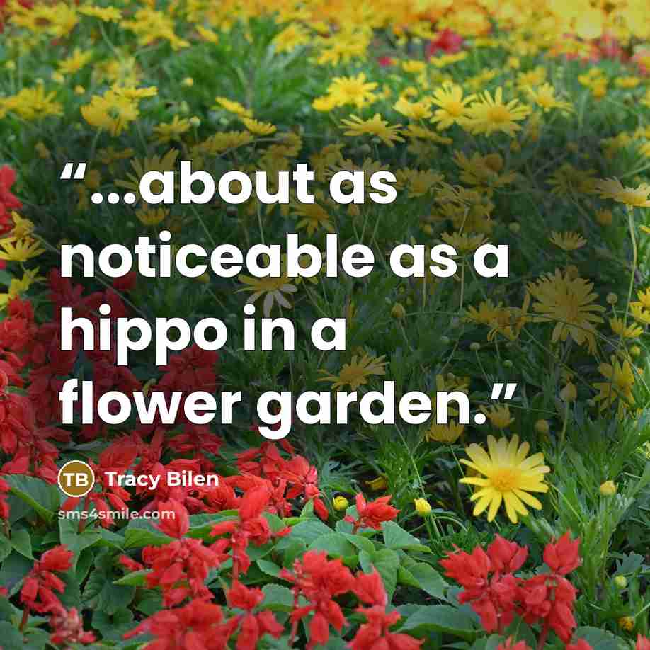 “...about as noticeable as a hippo in a flower garden.” quote by Tracy Bilen