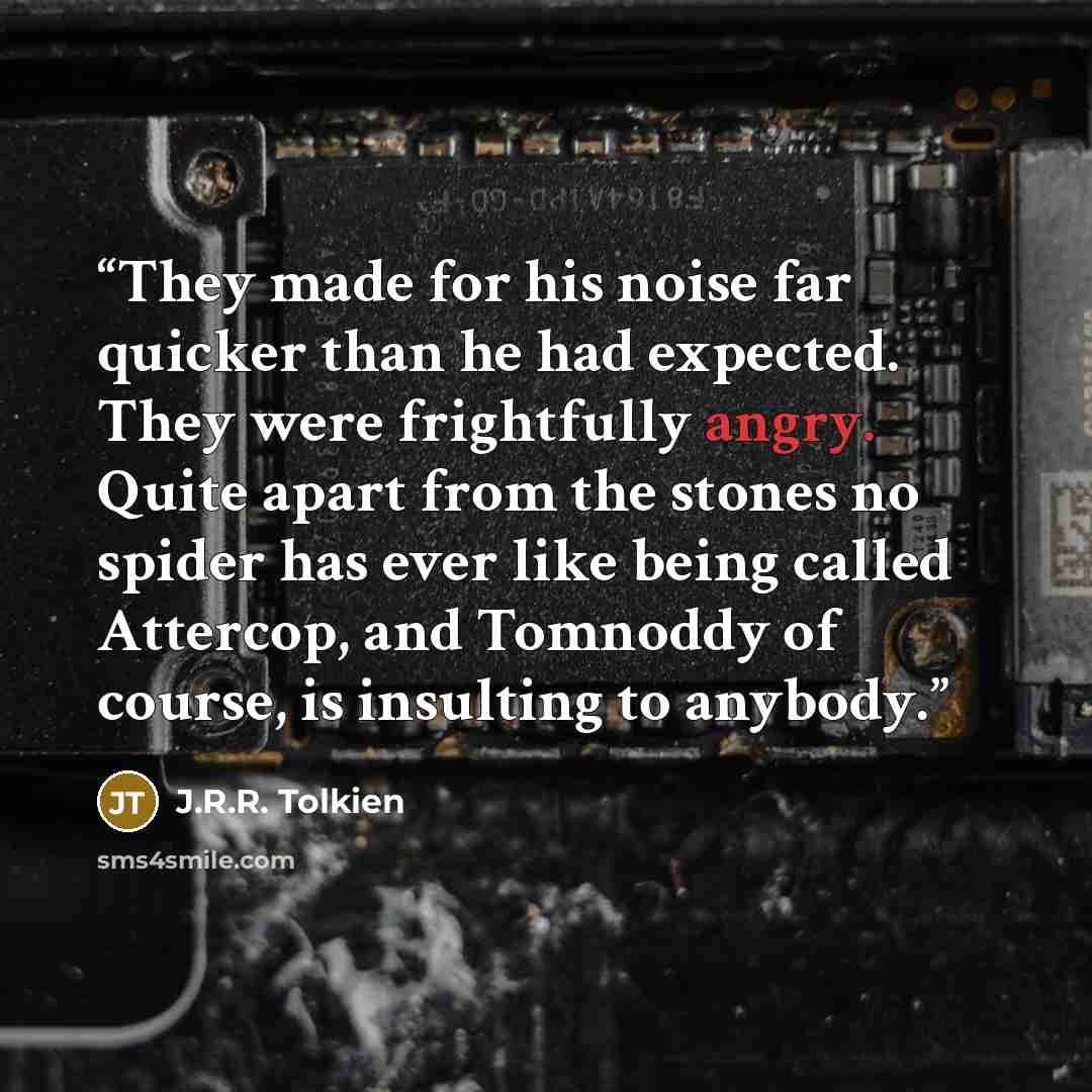 “They made for his noise far quicker than he had expected. They were frightfully angry. Quite apart from the stones no spider has ever like being called Attercop, and Tomnoddy of course, is insulting to anybody.” quote by J.R.R. Tolkien