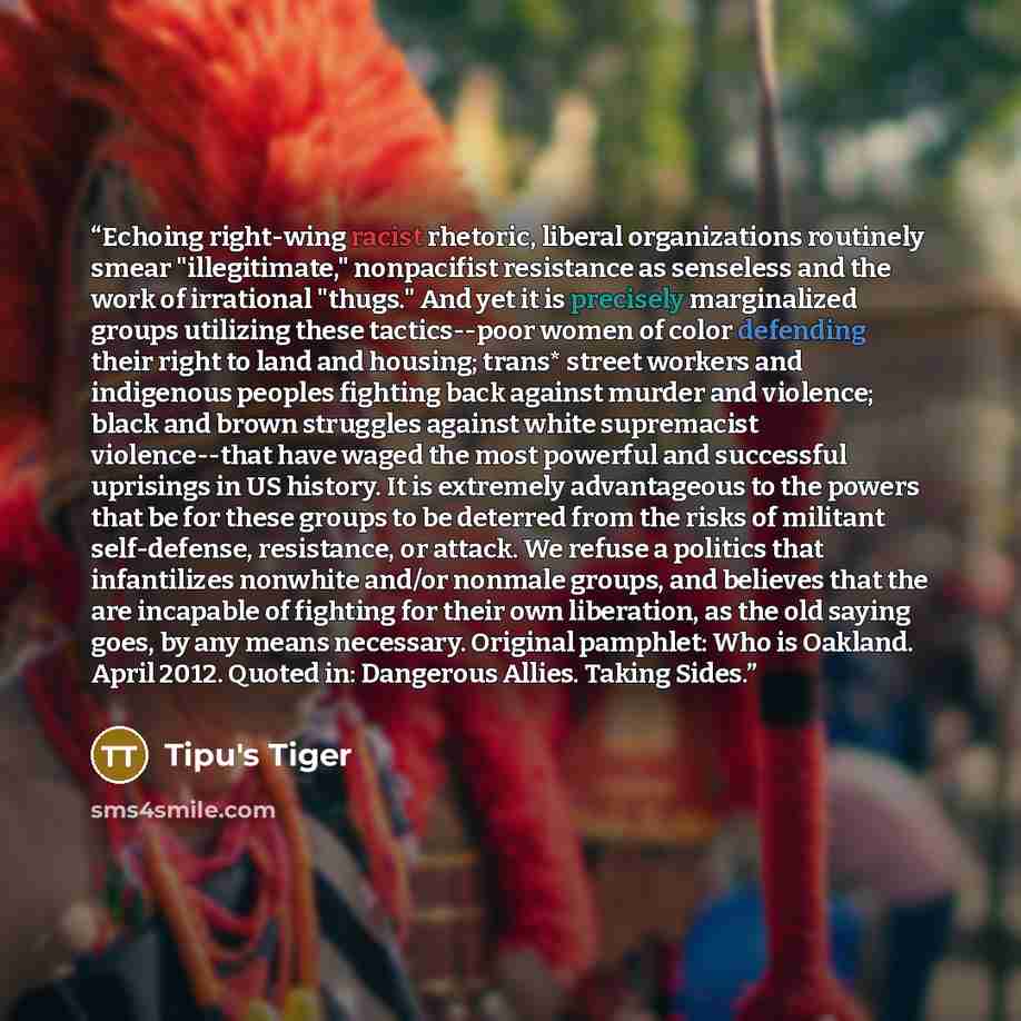 “Echoing right-wing racist rhetoric, liberal organizations routinely smear "illegitimate," nonpacifist resistance as senseless and the work of irrational "thugs." And yet it is precisely marginalized groups utilizing these tactics--poor women of color defending their right to land and housing…” quote by Tipu's Tiger