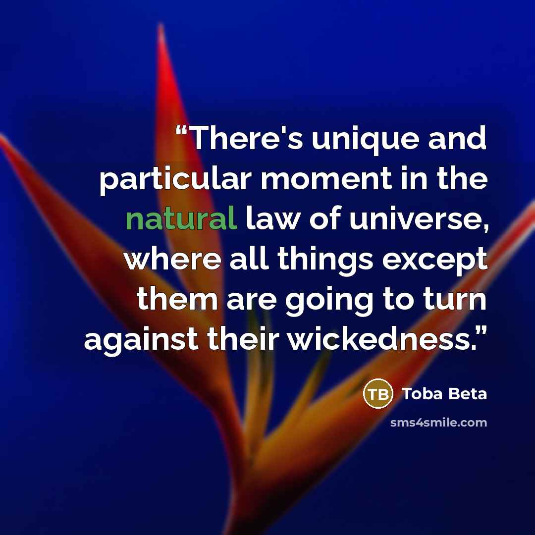 “There's unique and particular moment in the natural law of universe, where all things except them are going to turn against their wickedness.” quote by Toba Beta