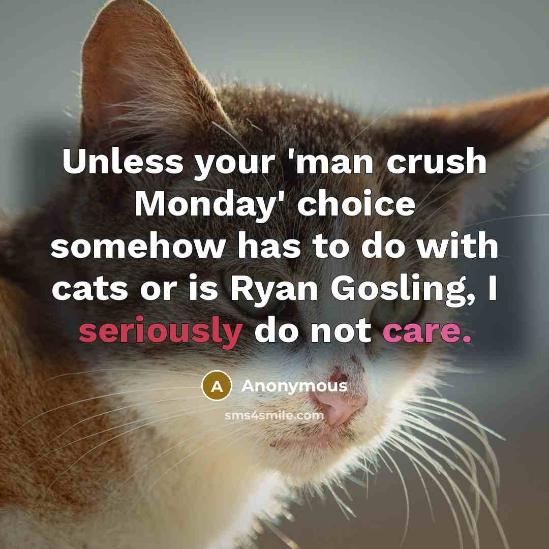 “Unless your 'man crush Monday' choice somehow has to do with cats or is Ryan Gosling, I seriously do not care.” quote by Anonymous