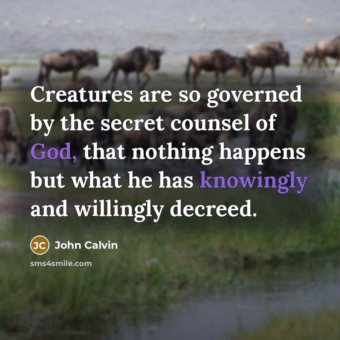 “Creatures are so governed by the secret counsel of God, that nothing happens but what he has knowingly and willingly decreed.” quote by John Calvin