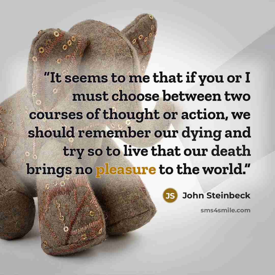 “It seems to me that if you or I must choose between two courses of thought or action, we should remember our dying and try so to live that our death brings no pleasure to the world.” quote by John Steinbeck