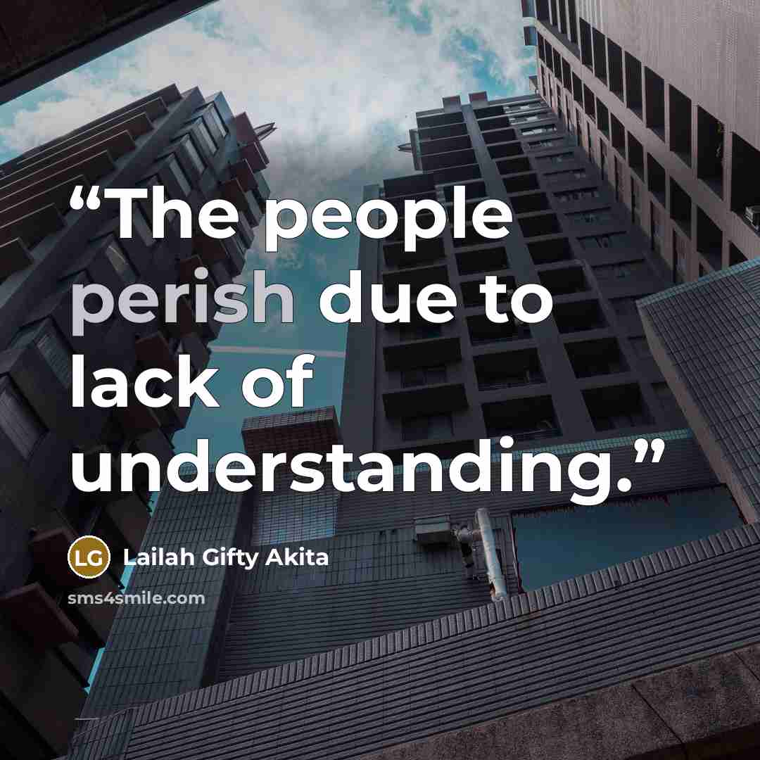 “The people perish due to lack of understanding.” quote by Lailah Gifty Akita