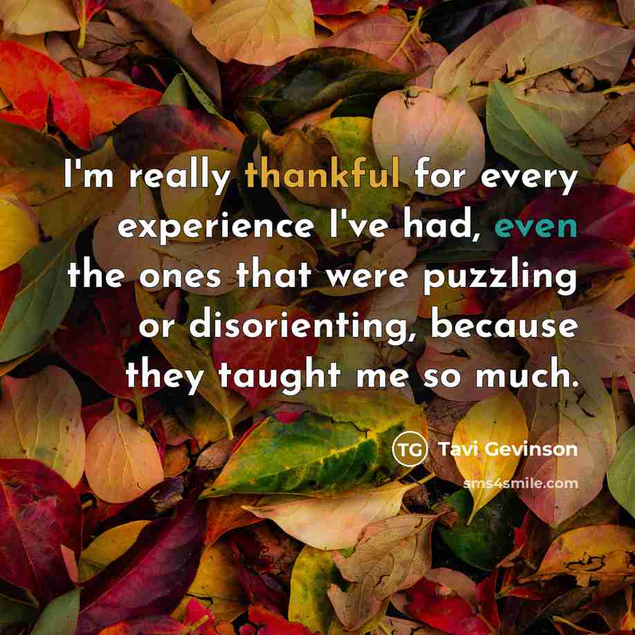 “I'm really thankful for every experience I've had, even the ones that were puzzling or disorienting, because they taught me so much.” quote by Tavi Gevinson