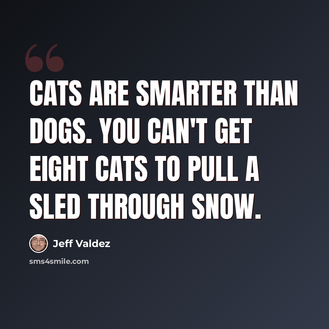 “Cats are smarter than dogs. You can't get eight cats to pull a sled through snow.” quote by Jeff Valdez