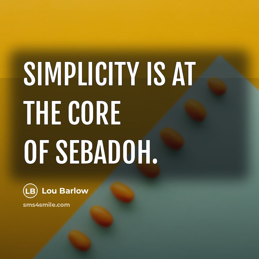 “Simplicity is at the core of Sebadoh.” quote by Lou Barlow