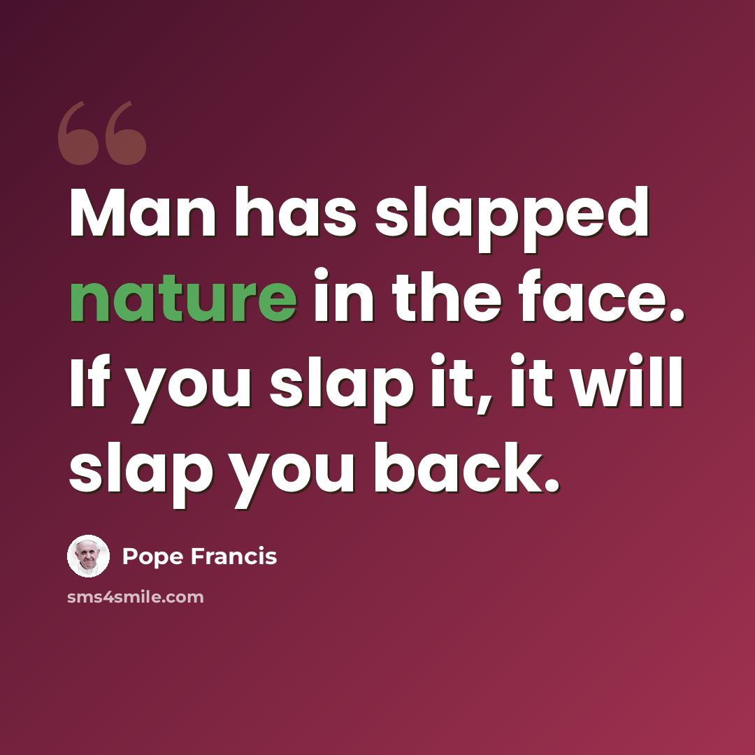 “Man has slapped nature in the face. If you slap it, it will slap you back.” quote by Pope Francis