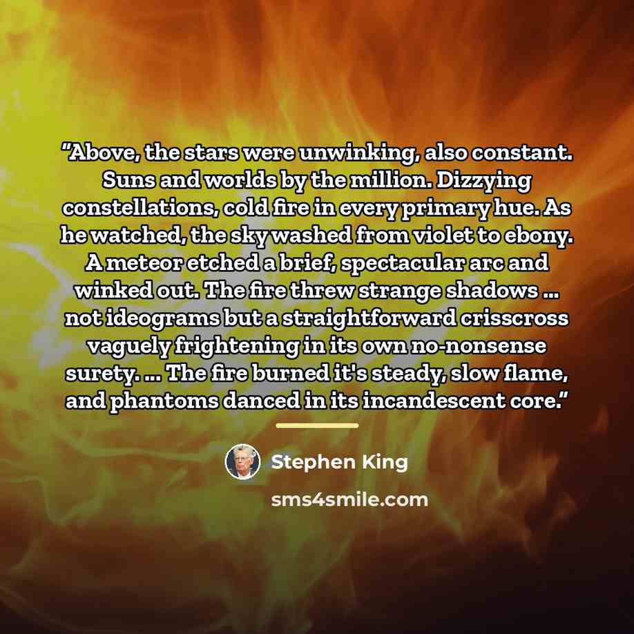 “Above, the stars were unwinking, also constant. Suns and worlds by the million. Dizzying constellations, cold fire in every primary hue. As he watched, the sky washed from violet to ebony. A meteor etched a brief, spectacular arc and winked out. The fire threw strange shadows ... not ideograms but…” quote by Stephen King