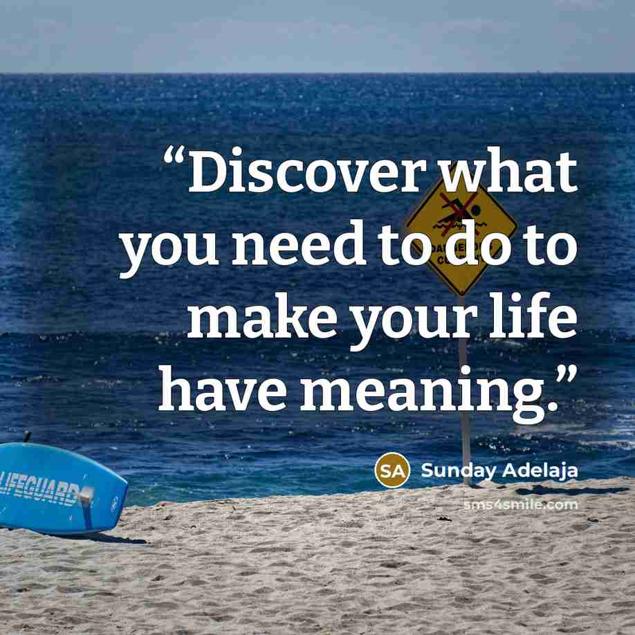 “Discover what you need to do to make your life have meaning.” quote by Sunday Adelaja