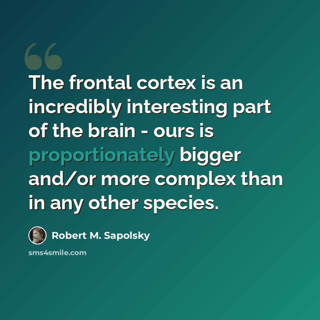 “The frontal cortex is an incredibly interesting part of the brain - ours is proportionately bigger and/or more complex than in any other species.” quote by Robert M. Sapolsky
