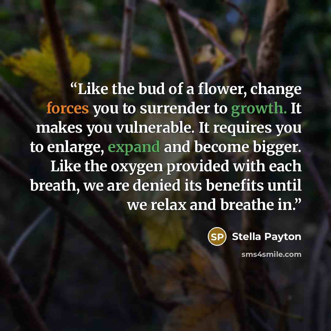 “Like the bud of a flower, change forces you to surrender to growth. It makes you vulnerable. It requires you to enlarge, expand and become bigger. Like the oxygen provided with each breath, we are denied its benefits until we relax and breathe in.” quote by Stella Payton