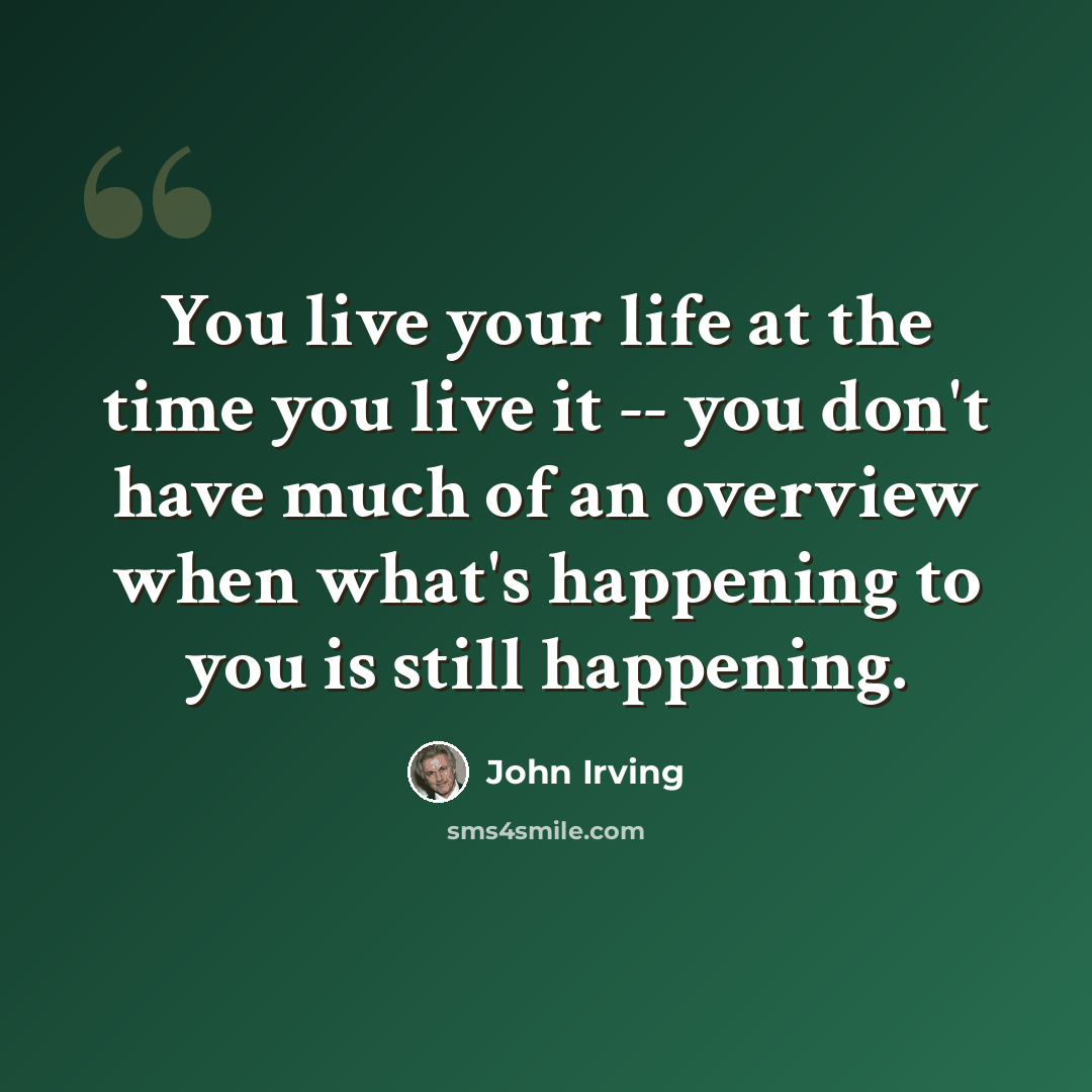 “You live your life at the time you live it -- you don't have much of an overview when what's happening to you is still happening.” quote by John Irving