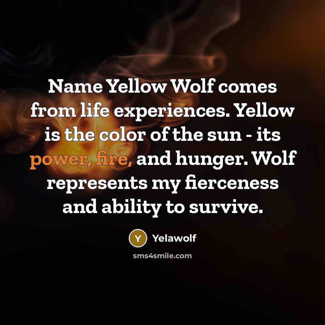 “Name Yellow Wolf comes from life experiences. Yellow is the color of the sun - its power, fire, and hunger. Wolf represents my fierceness and ability to survive.” quote by Yelawolf