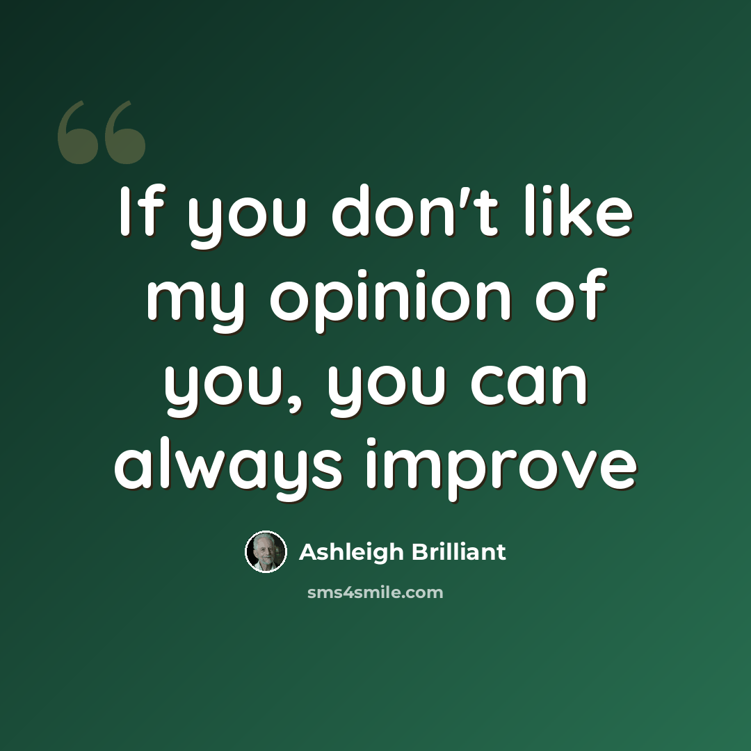 “If you don't like my opinion of you, you can always improve” quote by Ashleigh Brilliant