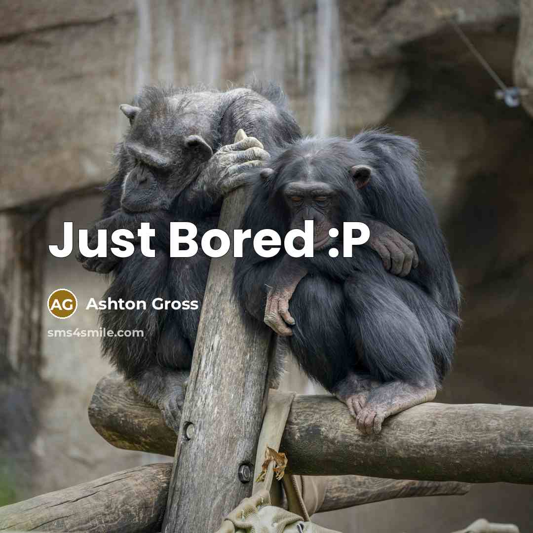 “Just Bored :P” quote by Ashton Gross