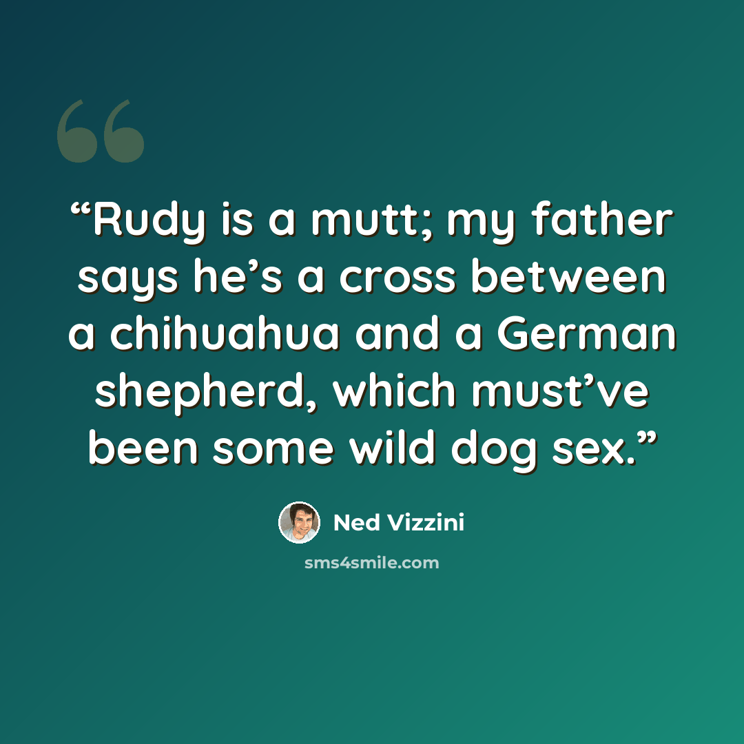 “Rudy is a mutt; my father says he’s a cross between a chihuahua and a German shepherd, which must’ve been some wild dog sex.” quote by Ned Vizzini