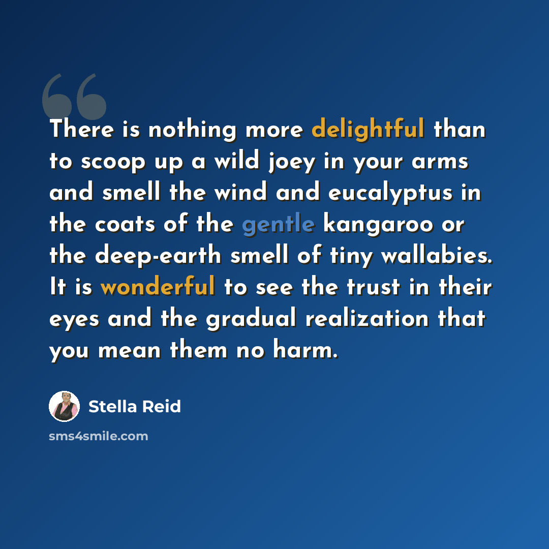 “There is nothing more delightful than to scoop up a wild joey in your arms and smell the wind and eucalyptus in the coats of the gentle kangaroo or the deep-earth smell of tiny wallabies. It is wonderful to see the trust in their eyes and the gradual realization that you mean them no harm.” quote by Stella Reid