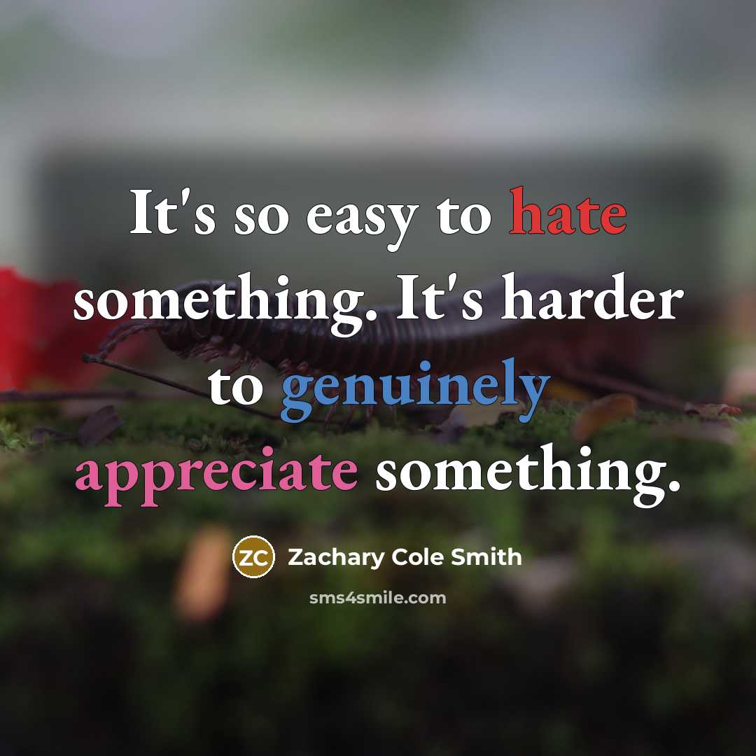 “It's so easy to hate something. It's harder to genuinely appreciate something.” quote by Zachary Cole Smith
