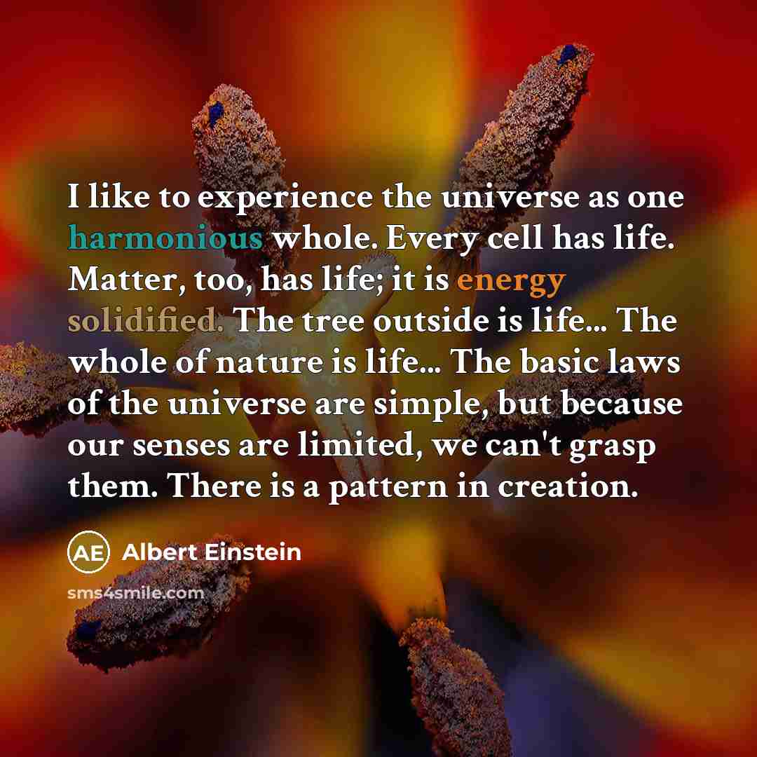 “I like to experience the universe as one harmonious whole. Every cell has life. Matter, too, has life; it is energy solidified. The tree outside is life... The whole of nature is life... The basic laws of the universe are simple, but because our senses are limited, we can't grasp them. There is a…” quote by Albert Einstein