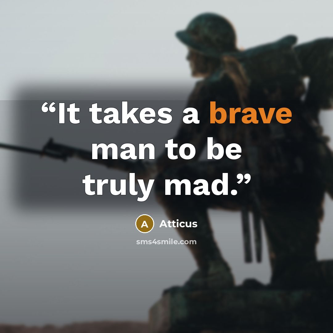 “It takes a brave man to be truly mad.” quote by Atticus