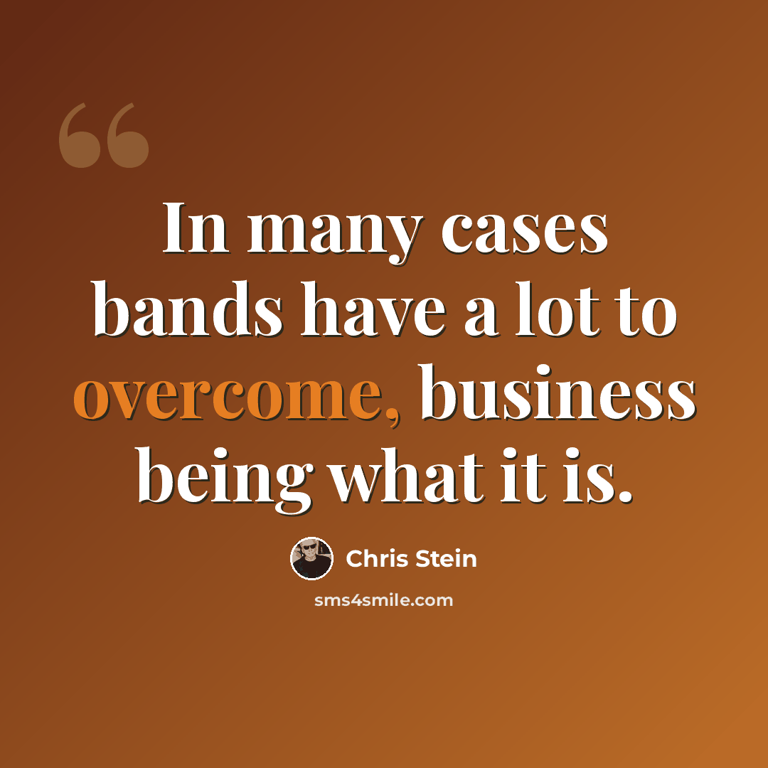 “In many cases bands have a lot to overcome, business being what it is.” quote by Chris Stein