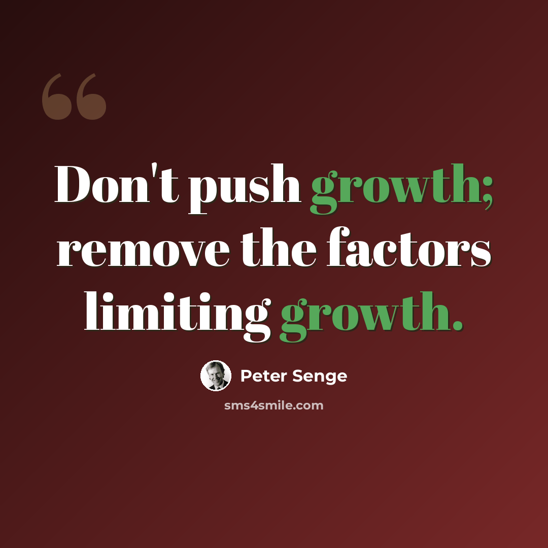 “Don't push growth; remove the factors limiting growth.” quote by Peter Senge