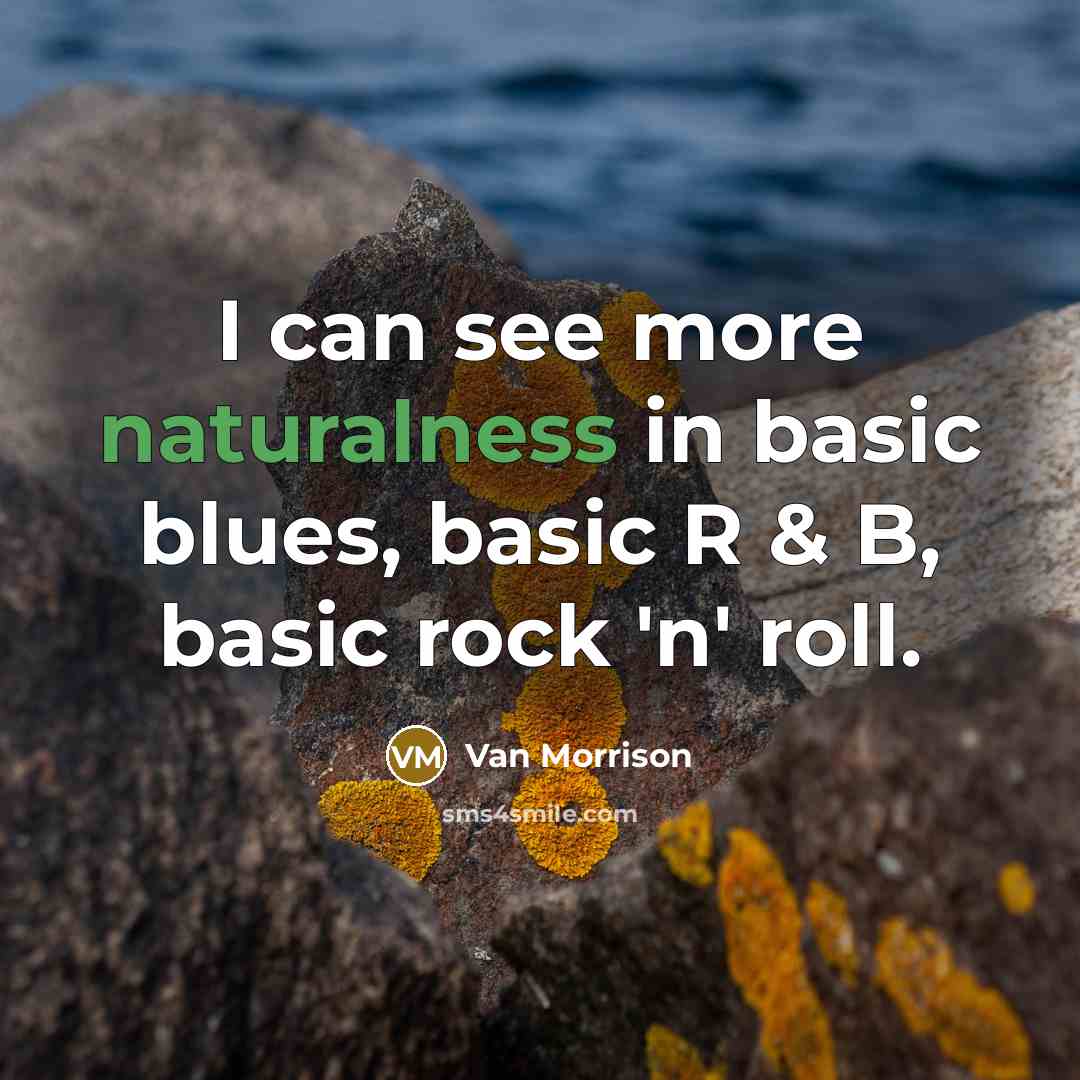 “I can see more naturalness in basic blues, basic R & B, basic rock 'n' roll.” quote by Van Morrison