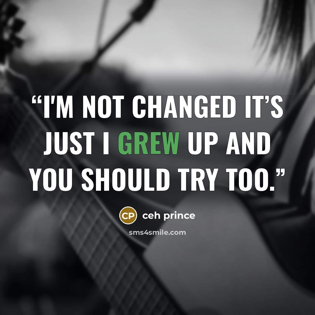 “I'm not changed it’s just I grew up and you should try too.” quote by ceh prince