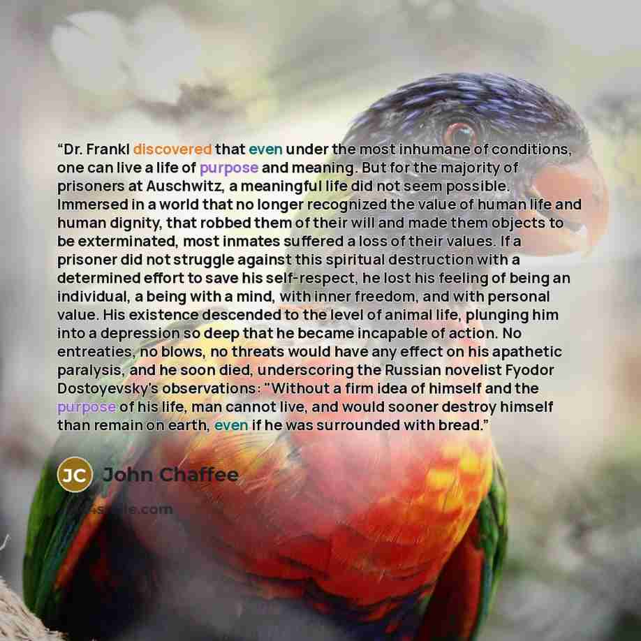 “Dr. Frankl discovered that even under the most inhumane of conditions, one can live a life of purpose and meaning. But for the majority of prisoners at Auschwitz, a meaningful life did not seem possible. Immersed in a world that no longer recognized the value of human life and human dignity, that…” quote by John Chaffee