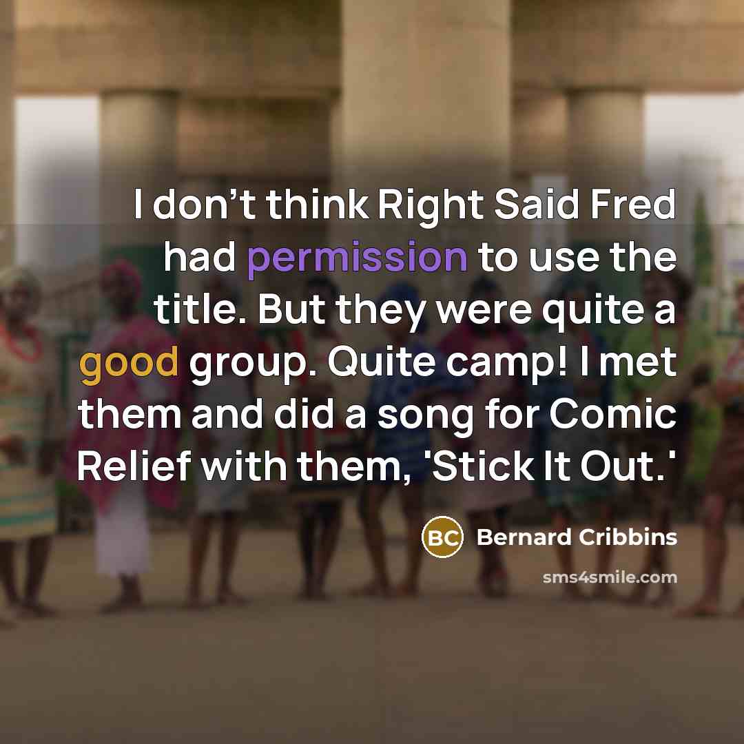 “I don't think Right Said Fred had permission to use the title. But they were quite a good group. Quite camp! I met them and did a song for Comic Relief with them, 'Stick It Out.'” quote by Bernard Cribbins
