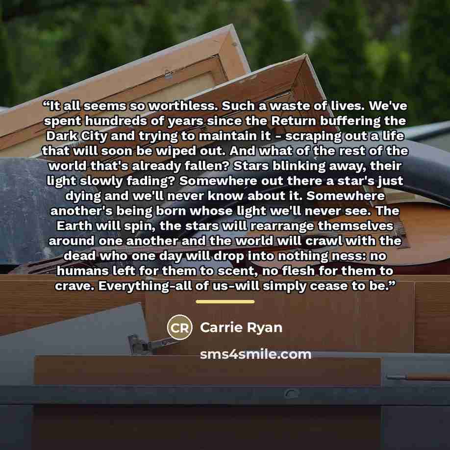 “It all seems so worthless. Such a waste of lives. We've spent hundreds of years since the Return buffering the Dark City and trying to maintain it - scraping out a life that will soon be wiped out. And what of the rest of the world that's already fallen? Stars blinking away, their light slowly…” quote by Carrie Ryan