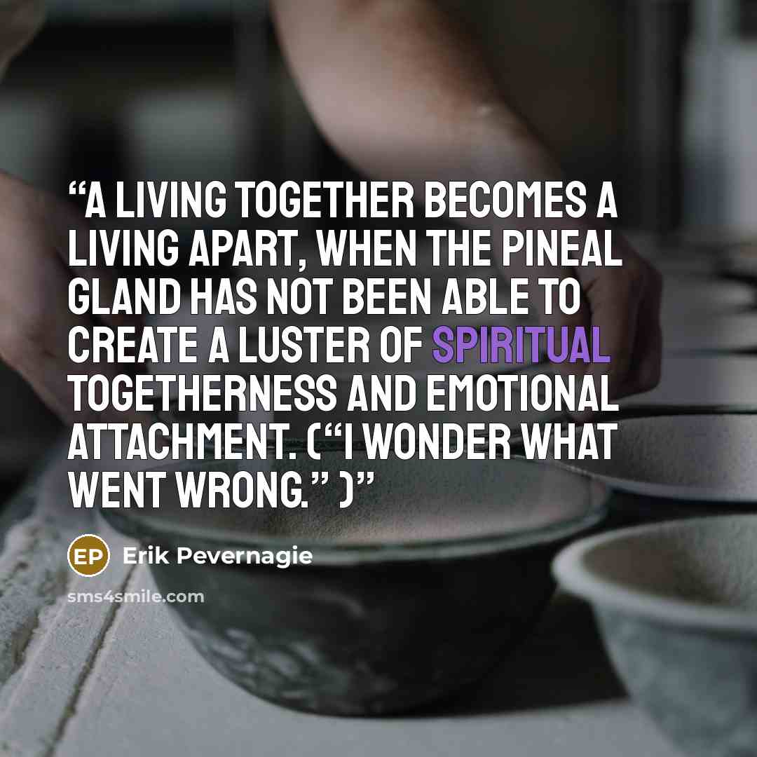 “A living together becomes a living apart, when the pineal gland has not been able to create a luster of spiritual togetherness and emotional attachment. (“I wonder what went wrong.” )” quote by Erik Pevernagie