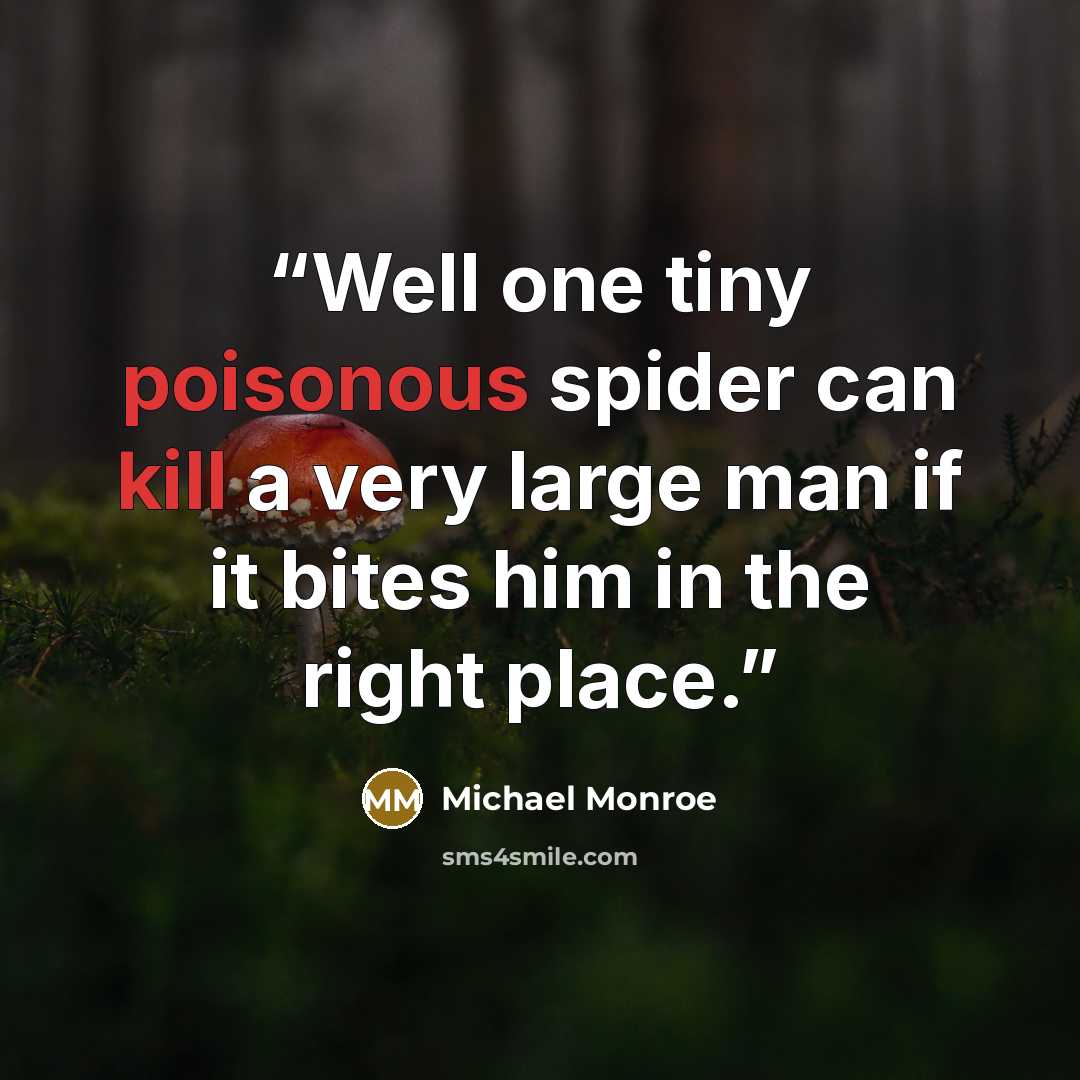 “Well one tiny poisonous spider can kill a very large man if it bites him in the right place.” quote by Michael Monroe