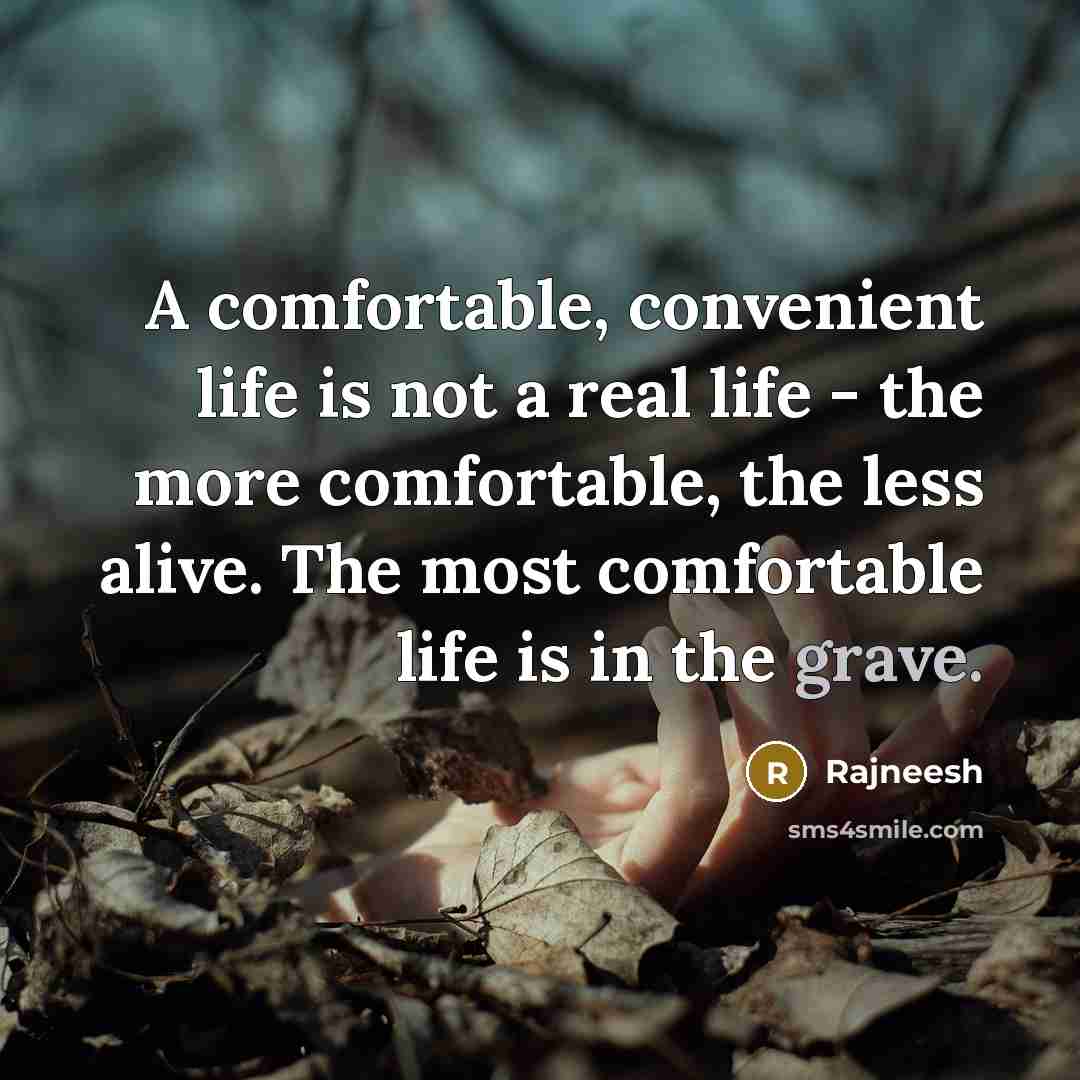 “A comfortable, convenient life is not a real life - the more comfortable, the less alive. The most comfortable life is in the grave.” quote by Rajneesh