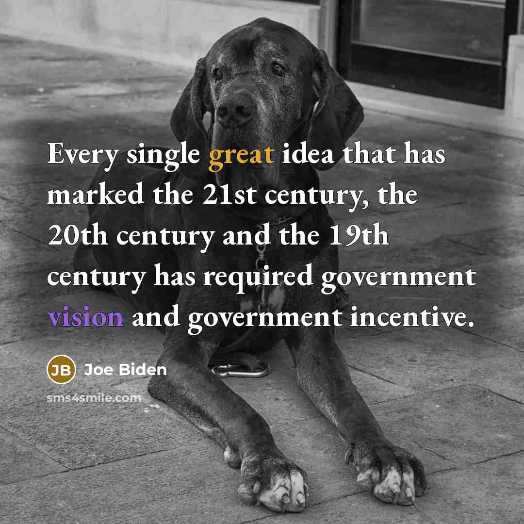 “Every single great idea that has marked the 21st century, the 20th century and the 19th century has required government vision and government incentive.” quote by Joe Biden