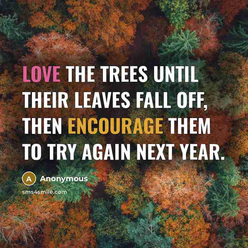 “Love the trees until their leaves fall off, then encourage them to try again next year.” quote by Anonymous
