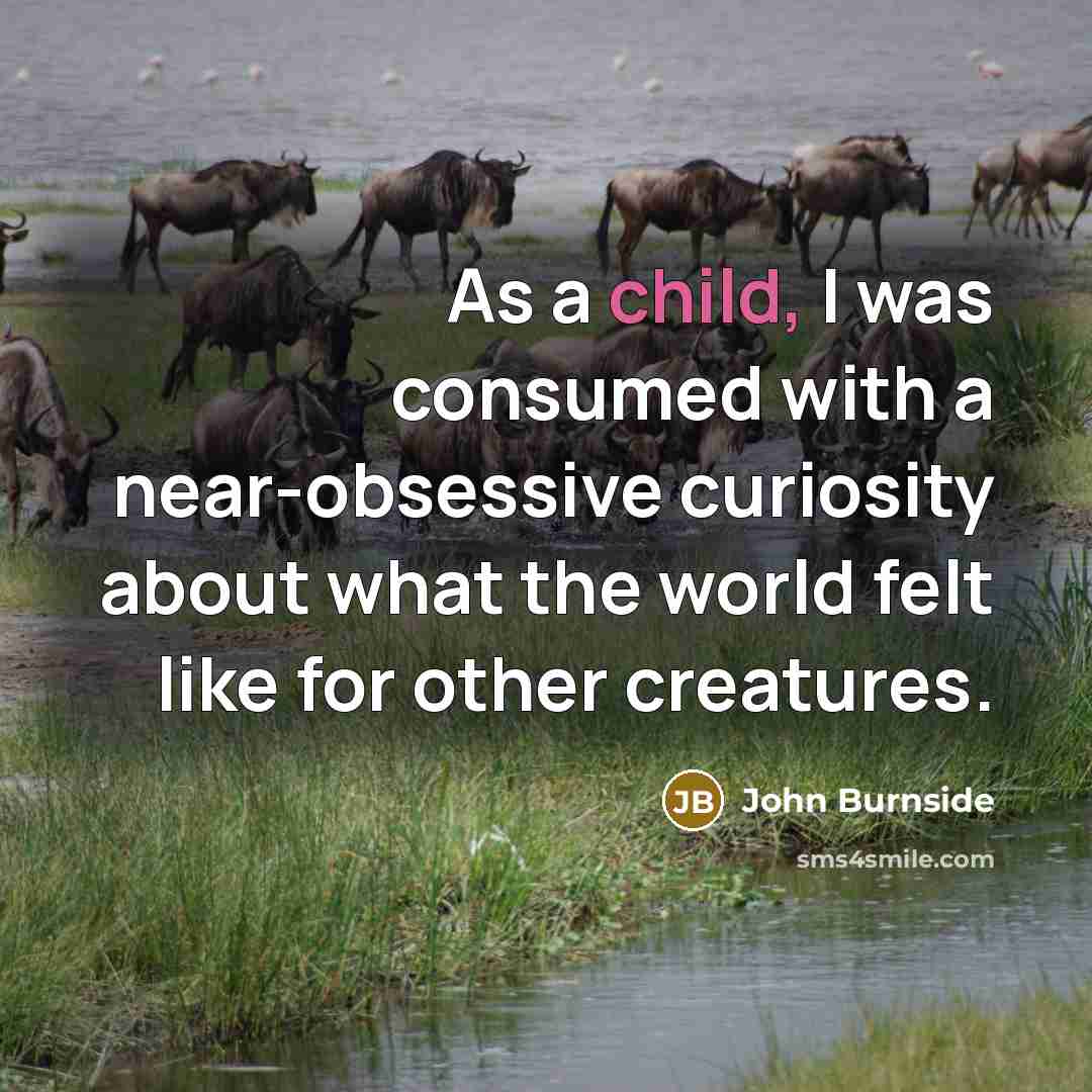 “As a child, I was consumed with a near-obsessive curiosity about what the world felt like for other creatures.” quote by John Burnside