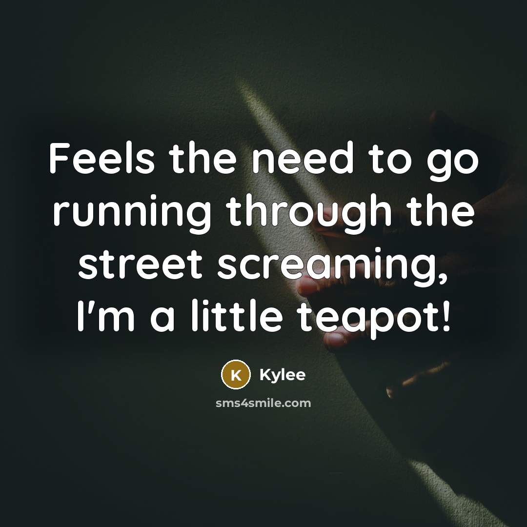 “Feels the need to go running through the street screaming, I'm a little teapot!” quote by Kylee