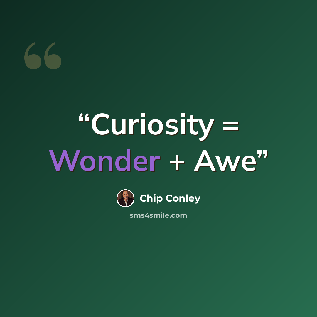 “Curiosity = Wonder + Awe” quote by Chip Conley