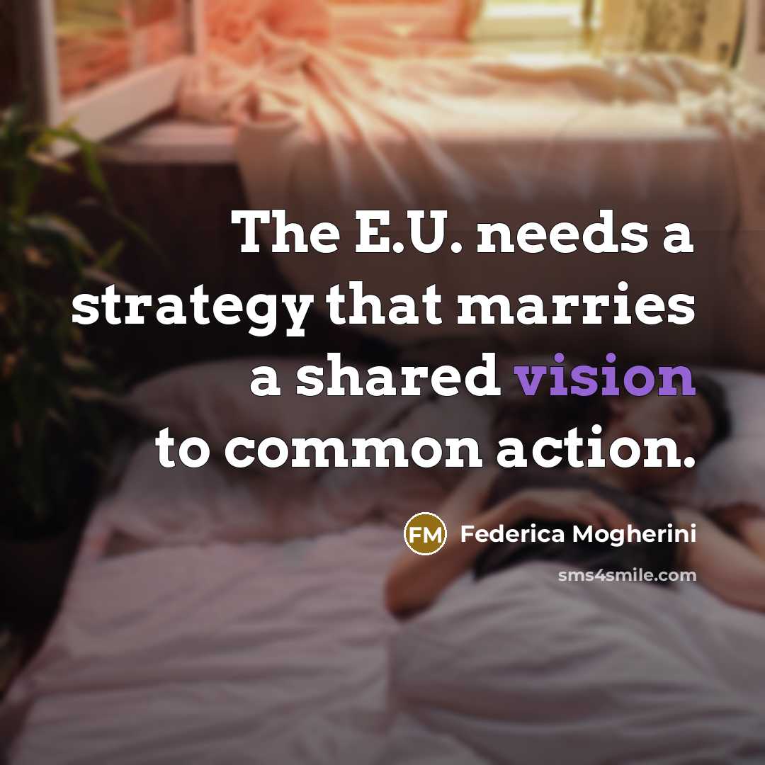“The E.U. needs a strategy that marries a shared vision to common action.” quote by Federica Mogherini