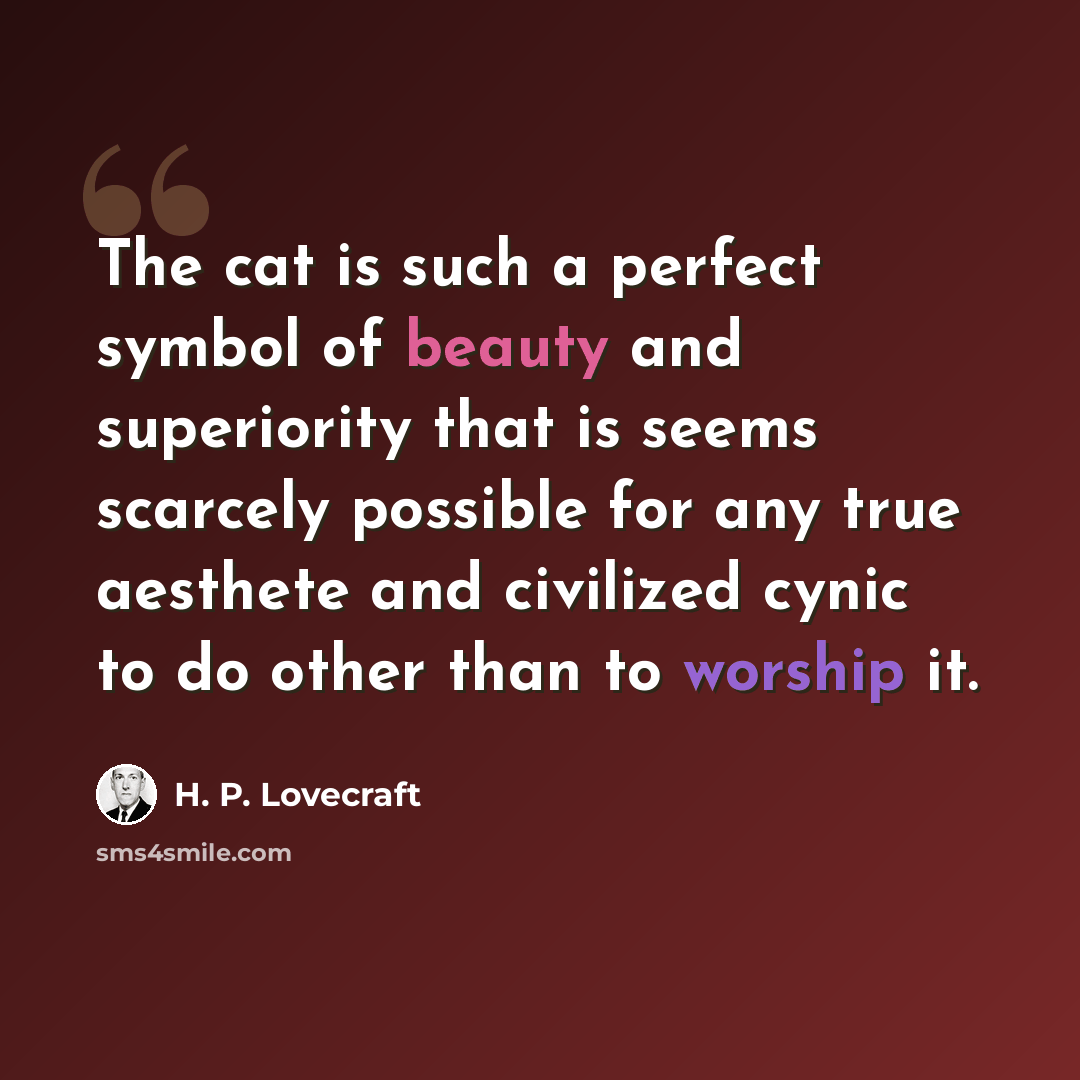“The cat is such a perfect symbol of beauty and superiority that is seems scarcely possible for any true aesthete and civilized cynic to do other than to worship it.” quote by H. P. Lovecraft