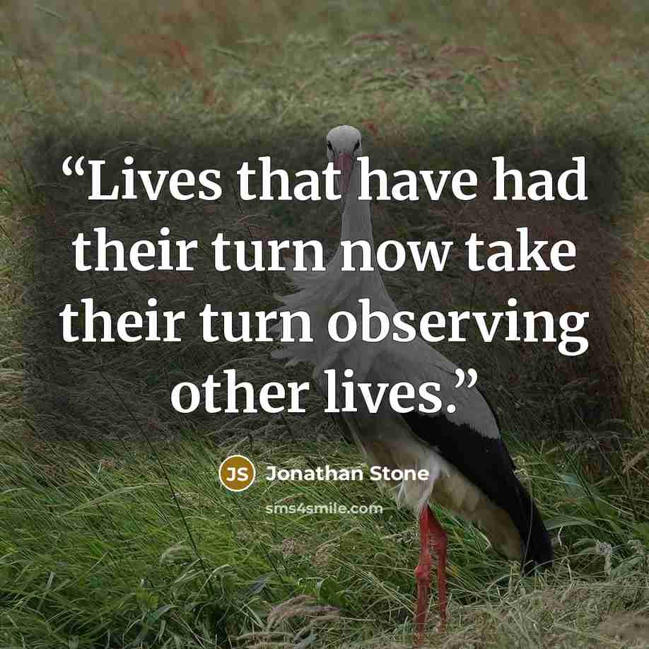 “Lives that have had their turn now take their turn observing other lives.” quote by Jonathan Stone
