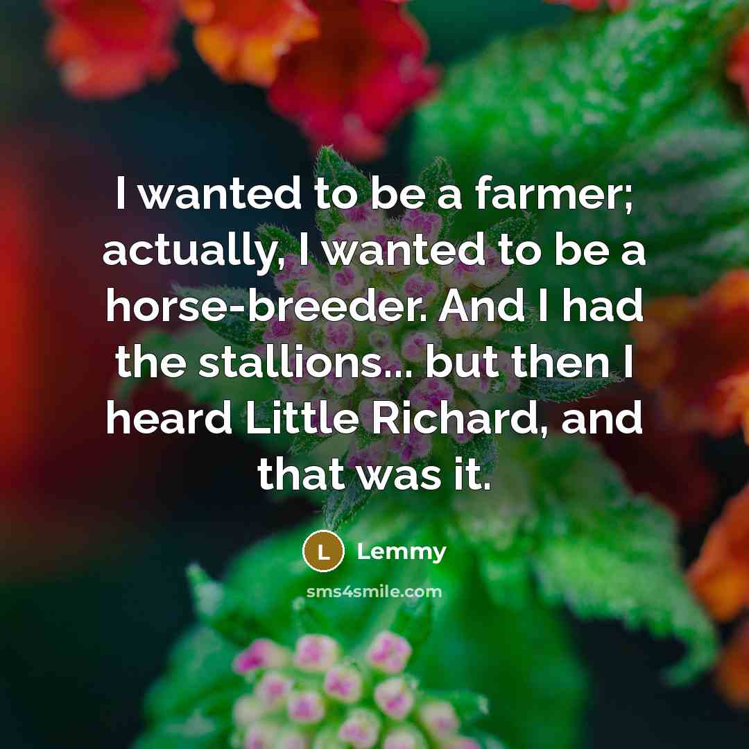 “I wanted to be a farmer; actually, I wanted to be a horse-breeder. And I had the stallions... but then I heard Little Richard, and that was it.” quote by Lemmy