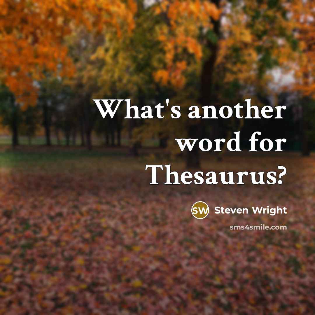 “What's another word for Thesaurus?” quote by Steven Wright
