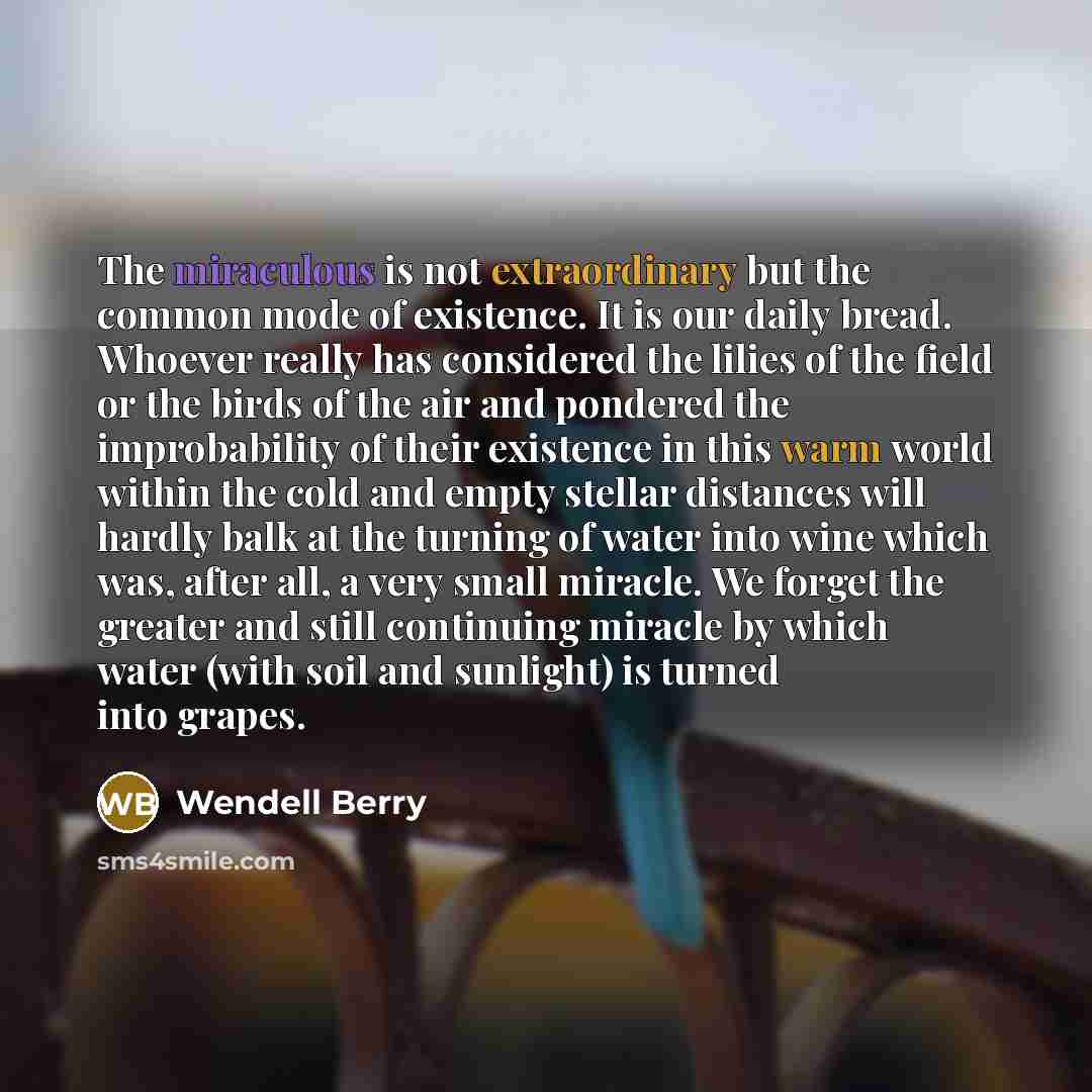 “The miraculous is not extraordinary but the common mode of existence. It is our daily bread. Whoever really has considered the lilies of the field or the birds of the air and pondered the improbability of their existence in this warm world within the cold and empty stellar distances will hardly…” quote by Wendell Berry