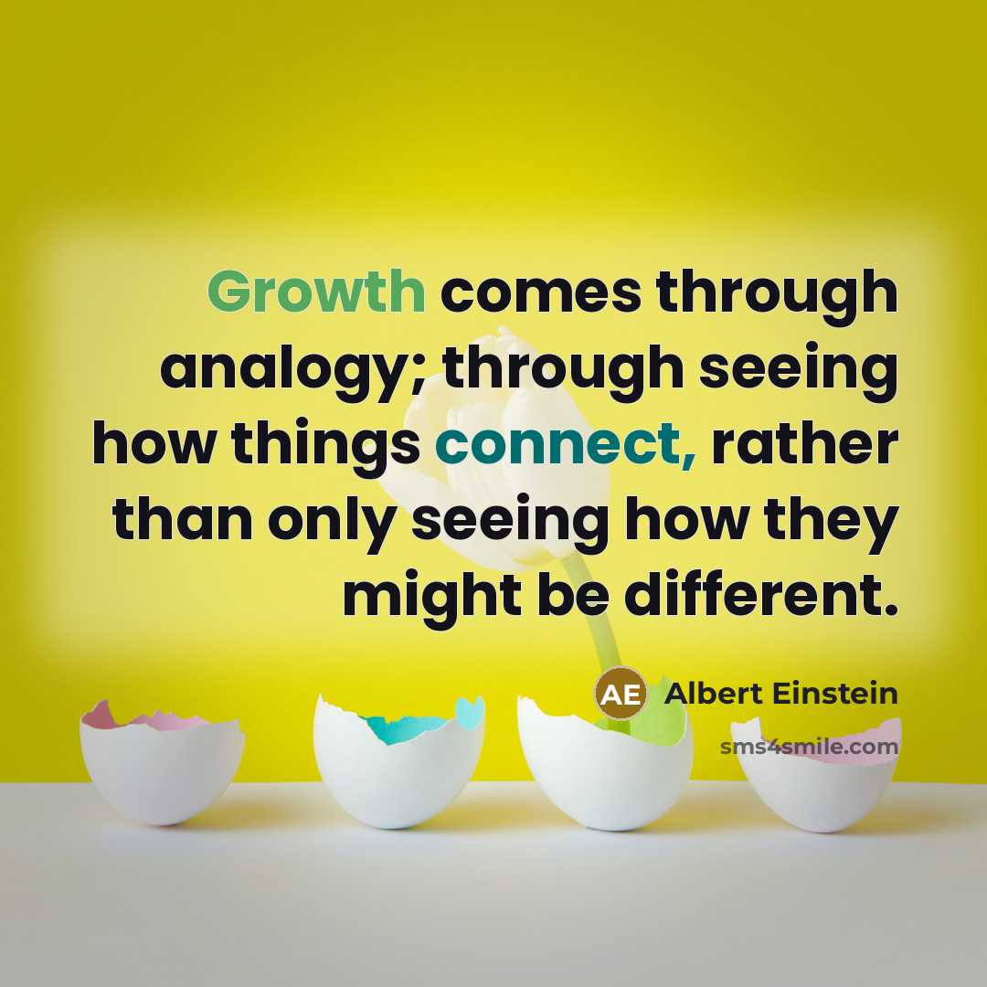 “Growth comes through analogy; through seeing how things connect, rather than only seeing how they might be different.” quote by Albert Einstein