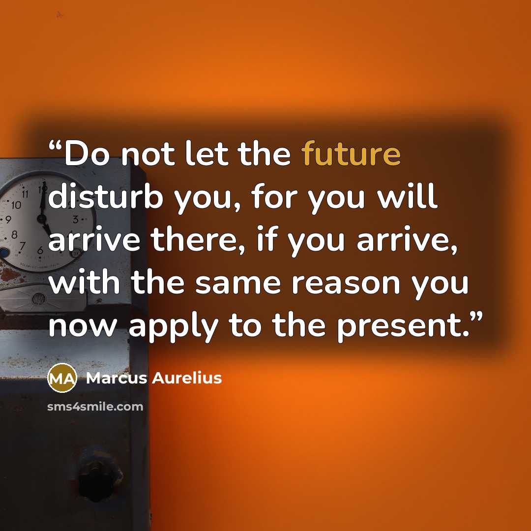 “Do not let the future disturb you, for you will arrive there, if you arrive, with the same reason you now apply to the present.” quote by Marcus Aurelius