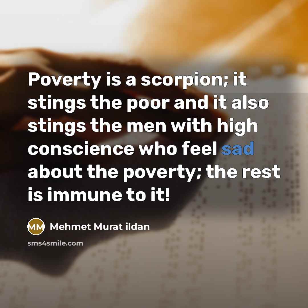 “Poverty is a scorpion; it stings the poor and it also stings the men with high conscience who feel sad about the poverty; the rest is immune to it!” quote by Mehmet Murat Ildan